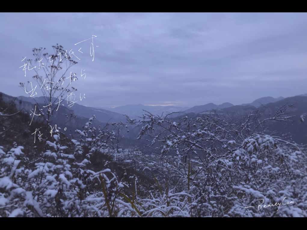 燃烧吧大脑免广告最新版