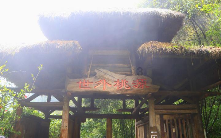 逃离诡异之林