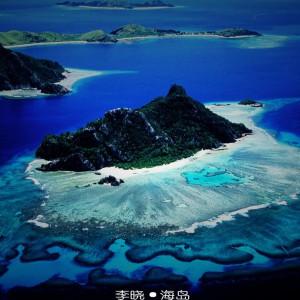 逃离野丛之森