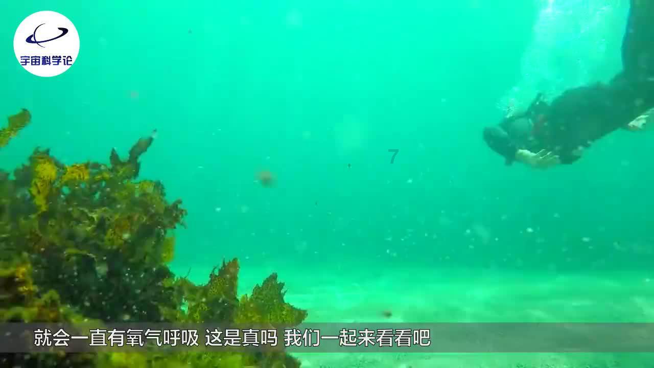 英雄联盟官方助手