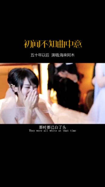 救援有趣的狮子