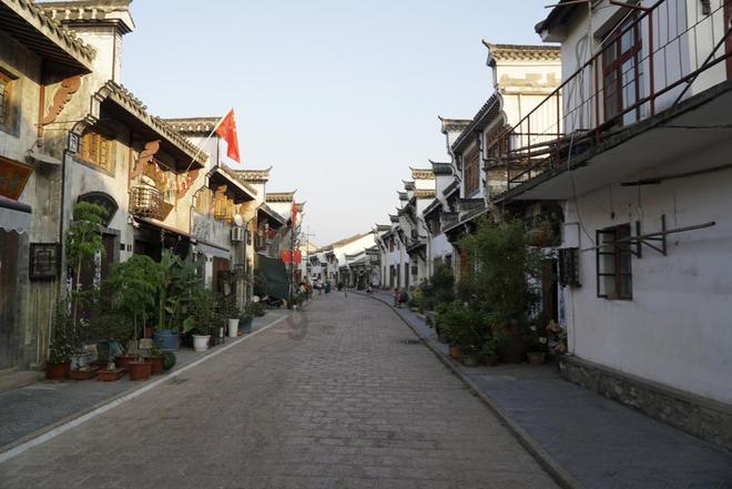 动物帮帮忙保卫家园